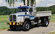 D 290B | ZH 32536U | Saurer | D&OUML;RFLINGEN 03.06.2017