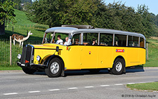  | FR 23256 | Saurer  |  Schmutz | SURSEE 31.08.2019