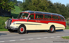 LN40 | SZ 60708 | FBW  |  Willi Röllin, built 1952 | SURSEE 31.08.2019