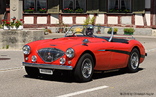 100 | ZH 430000 | Austin-Healey | SCH&UUML;PFHEIM ZH 02.06.2019