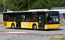 Citaro O530ÜII | NW 348 | Mercedes-Benz | BUOCHS 14.08.2021