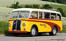 1UP 138 | ZH 7310 | Berna  |  Wegmüller Attikon | FREIENSTEIN 19.06.2021