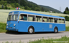 51U | ZH 66324 | FBW  |  built 1954 | FREIENSTEIN 19.06.2021