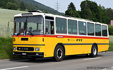 50U | SG 118489 | FBW  |  Soltermann Nostalgiefahrten,Niederuzwil | FREIENSTEIN 19.06.2021