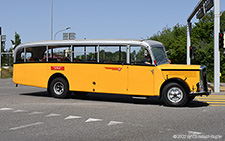 L4C Alpenwagen III | ZH 37102 | Saurer  |  built 1950 | OPFIKON 18.06.2022