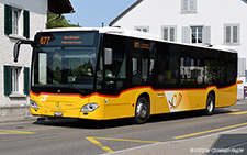 Citaro | ZH 51394 | Mercedes-Benz | DORF 17.06.2023