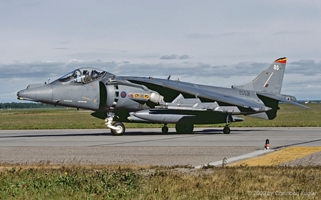 BAe Harrier GR.7 | ZG531 | Royal Air Force | CFB COLD LAKE (CYOD/YOD) 21.06.2000