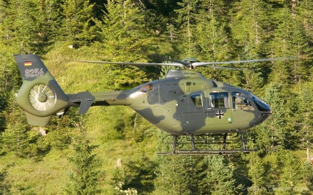 Eurocopter EC135 | 8256 | German Army | HOCHFILZEN (----/---) 03.09.2003