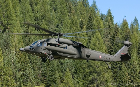 Sikorsky S.70A | 6M-BC | Austrian Air Force | HOCHFILZEN (----/---) 04.09.2003