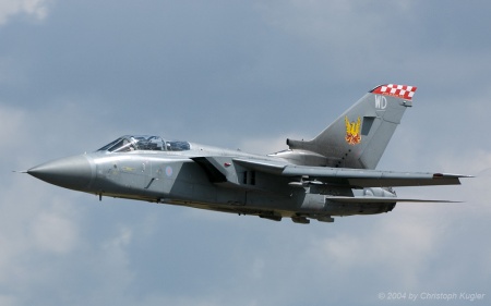 Panavia Tornado F.3 | ZG795 | Royal Air Force | FAIRFORD (EGVA/FFD) 19.07.2004