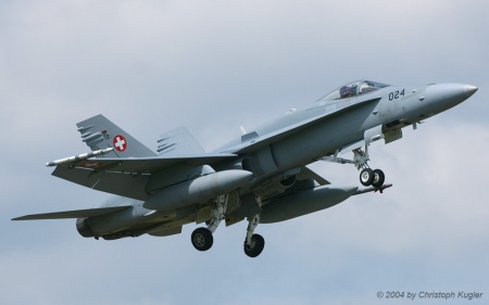 McDonnell Douglas F/A-18C Hornet | J-5024 | Swiss Air Force | D&UUML;BENDORF (LSMD/---) 10.05.2004