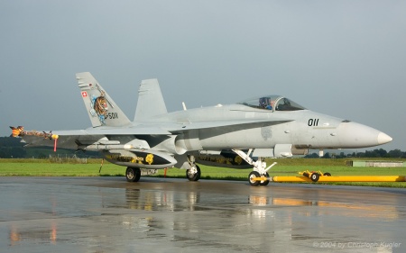 McDonnell Douglas F/A-18C Hornet | J-5011 | Swiss Air Force | D&UUML;BENDORF (LSMD/---) 19.08.2004