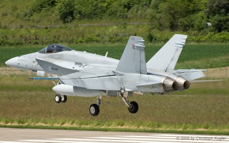 McDonnell Douglas F/A-18C Hornet | HN-448 | Finnish Air Force | D&UUML;BENDORF (LSMD/---) 25.05.2005