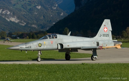 Northrop F-5E Tiger II | J-3025 | Swiss Air Force | MEIRINGEN (LSMM/---) 11.10.2005
