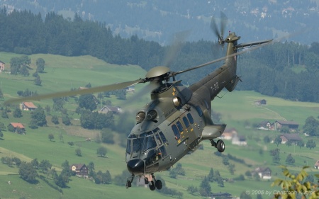Aerospatiale AS332 M1 Super Puma | T-312 | Swiss Air Force | BUOCHS (LSZC/BXO) 31.08.2005