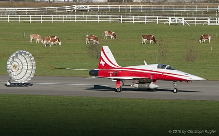 Northrop F-5E Tiger II | J-3080 | Swiss Air Force | MEIRINGEN (LSMM/---) 05.11.2010