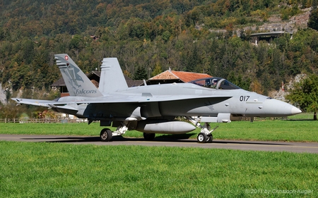 McDonnell Douglas F/A-18C Hornet | J-5017 | Swiss Air Force | MEIRINGEN (LSMM/---) 04.10.2011