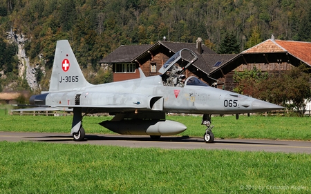 Northrop F-5E Tiger II | J-3065 | Swiss Air Force | MEIRINGEN (LSMM/---) 04.10.2011