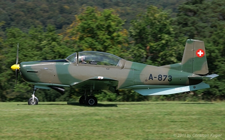 Pilatus P-3-05 | HB-RCL | private | DITTINGEN (LSPD/---) 20.08.2011