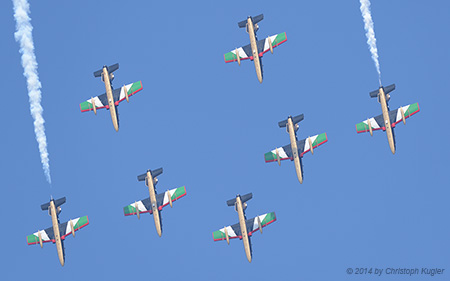 Aermacchi MB.339NAT | - | United Arab Emirates Air Force | PAYERNE (LSMP/---) 05.09.2014