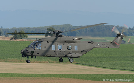 NH Industries NH-90TTH | MM81544 | Italian Army | PAYERNE (LSMP/---) 08.09.2014