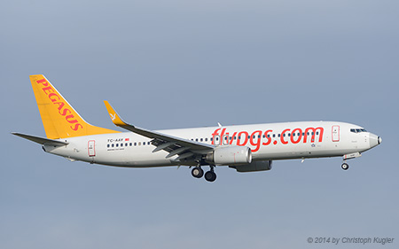 Boeing 737-82R | TC-AAY | Pegasus Airlines | Z&UUML;RICH (LSZH/ZRH) 24.12.2014