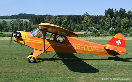 Piper L-4J Grasshopper | HB-OUP | private | LSZO 24.06.2023
