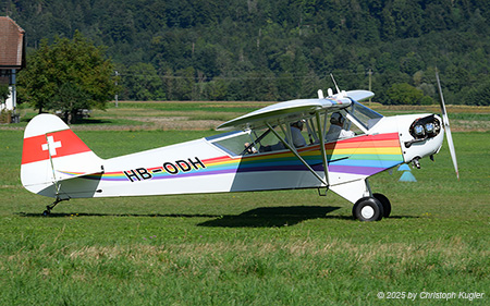 Piper J-3 Cub | HB-ODH | private  |  This Piper J-3 Cub is seen here arriving from Kägiswil. | LSZP 31.08.2025