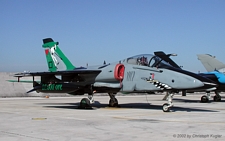 Aeritalia AMX | MM7160 | Italian Air Force  |  132 Grupo flew 10'000 hours on the AMX | AMENDOLA (LIBA/---) 19.05.2002