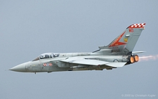 Panavia Tornado F.3 | ZE736 | Royal Air Force | FAIRFORD (EGVA/FFD) 15.07.2005
