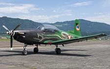 Pilatus PC-7 | 3H-FG | Austrian Air Force | ZELTWEG (LOXZ/---) 28.06.2006