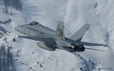 McDonnell Douglas F/A-18C Hornet | J-5011 | Swiss Air Force  |  FlSt 11 c/s | SION (LSGS/SIR) 25.01.2006
