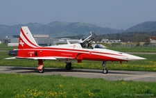 Northrop F-5E Tiger II | J-3088 | Swiss Air Force | EMMEN (LSME/---) 24.04.2010