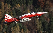 Northrop F-5E Tiger II | J-3080 | Swiss Air Force | MEIRINGEN (LSMM/---) 05.11.2010