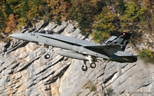 McDonnell Douglas F/A-18C Hornet | J-5018 | Swiss Air Force | MEIRINGEN (LSMM/---) 04.10.2011