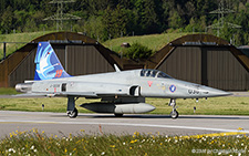 Northrop F-5E Tiger II | J-3038 | Swiss Air Force | MEIRINGEN (LSMM/---) 19.05.2014