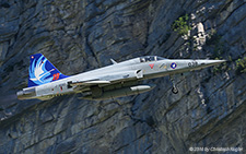 Northrop F-5E Tiger II | J-3038 | Swiss Air Force | MEIRINGEN (LSMM/---) 19.05.2014