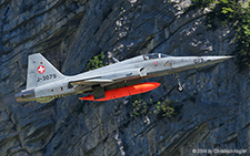 Northrop F-5E Tiger II | J-3079 | Swiss Air Force | MEIRINGEN (LSMM/---) 19.05.2014