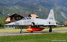 Northrop F-5E Tiger II | J-3079 | Swiss Air Force | MEIRINGEN (LSMM/---) 19.05.2014