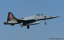 Northrop F-5E Tiger II | J-3033 | Swiss Air Force  |  Commemorative tail for FlSt 6 | EMMEN (LSME/---) 12.07.2018