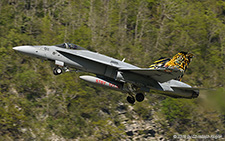 McDonnell Douglas F/A-18C Hornet | J-5011 | Swiss Air Force | MEIRINGEN (LSMM/---) 01.05.2019