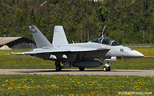 Boeing F/A-18F Super Hornet | 169653 | US Navy  |  Tests for a new fighter aircraft for the Swiss Air Force | MEIRINGEN (LSMM/---) 01.05.2019