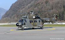 Eurocopter AS532 UL Cougar | T-333 | Swiss Air Force  |  brought to TH18 standard | ALPNACH (LSMA/---) 09.03.2022