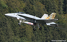 McDonnell Douglas F/A-18C Hornet | J-5011 | Swiss Air Force  |  New tiger scheme | MEIRINGEN (LSMM/---) 25.09.2023