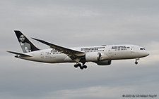 Boeing 787-8 | P4-787 | untitled (Comlux Aruba)  |  with Human Rights titles | Z&UUML;RICH (LSZH/ZRH) 14.01.2023