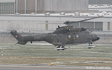 Aerospatiale AS332 M1 Super Puma | T-317 | Swiss Air Force | Z&UUML;RICH (LSZH/ZRH) 13.01.2024