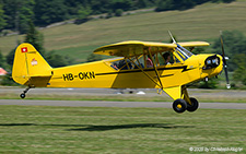 Piper L-4H Grasshopper | HB-OKN | private (Lausanne Aeroclub)  |  This Piper L-4H Grasshopper of the Lausanne Aeroclub is about to land on the grass runway at Birrfeld. | BIRRFELD (LSZF/---) 28.06.2025