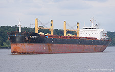 Tamar