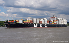 MSC