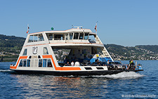Schwan